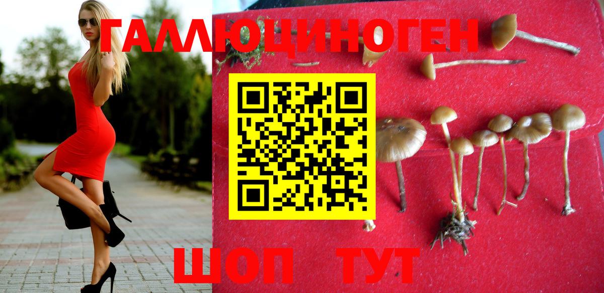 Галлюциногенные грибы Psilocybe  Псилоцибиновые грибы Cubensis  Малгобек  Вход с VPN 
